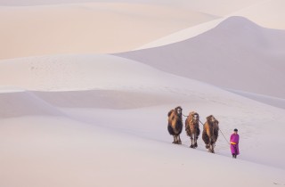 Mongolia - gobi desert