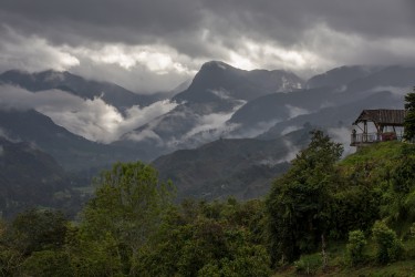 7P8A2919 Valle del Cocora Colombia