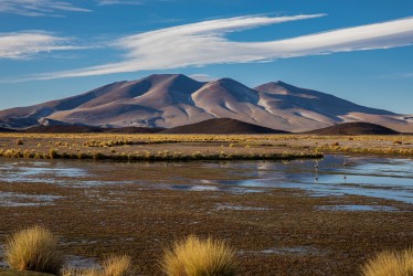 7P8A7491 1 Volcano Incawasi Parque Nacional Tres Cruces Desierto de Atacama Chile