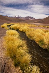 7P8A7623 Parque Nacional Tres Cruces Desierto de Atacama Chile