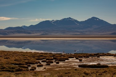 7P8A7645 Laguna Santa Rosa Parque Nacional Tres Cruces Desierto de Atacama Chile