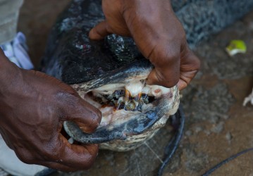 8R2A7199 Tribe Bakonjo Fish Market Q.E.NP West Uganda