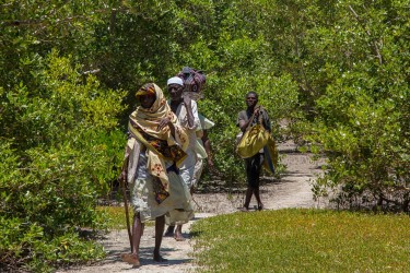 8R2A7889 Tribe Mwani  Mangroves  Quirimbas  6
