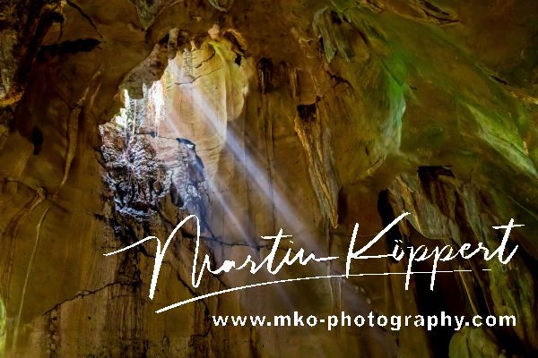 7P8A2079 Bat Cave Bukit Lawang Gunung Leuser NP North Sumatra Indonesia