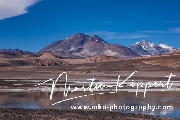 7P8A7555 Laguna Verde Parque Nacional Tres Cruces Desierto de Atacama Chile