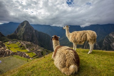 0S8A2941 Machu Picchu Peru