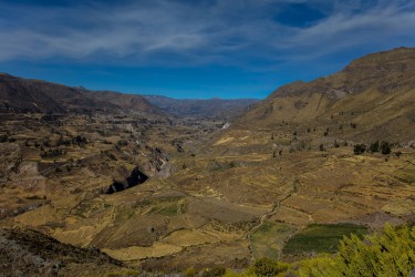 0S8A3126 Valle de Colca South Peru