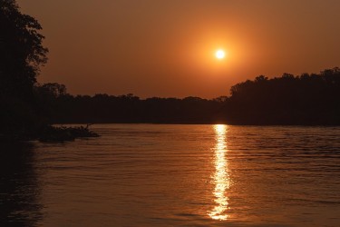 AO7I9100 Cuiaba River PJ Pantanal Brazil