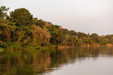 AO7I9274 Cuiaba River PJ Pantanal Brazil