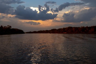 AO7I9811 Cuiaba River PJ Pantanal Brazil