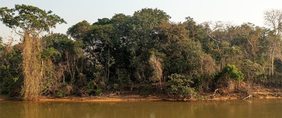 DJI 0319 HDR River Piquiri Cuiaba Pantanal Brazil
