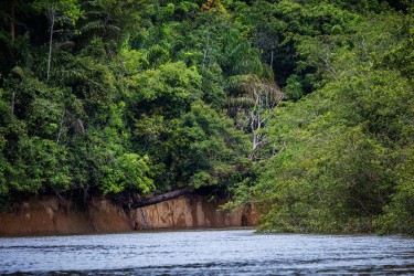 996A7856 Mapari River Guyana
