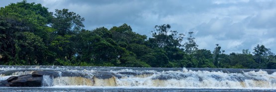 996A5981 Gran dan rapids  Suriname River  Suriname
