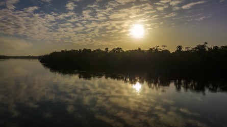 DJI 0651 Suriname River Suriname