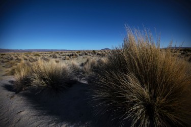 0S8A1754 Salar de Uyuni Bolivia