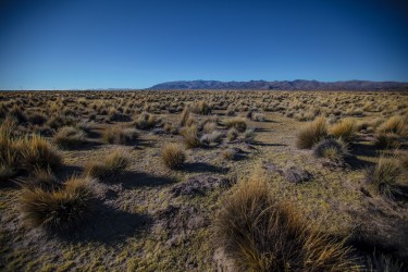 0S8A1759 Salar de Uyuni Bolivia