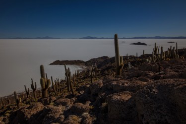 0S8A1885 Isla del Pescado Salar de Uyuni Bolivia