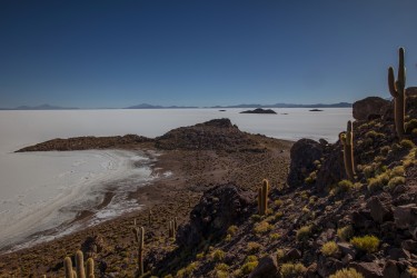 0S8A1898 Isla del Pescado Salar de Uyuni Bolivia