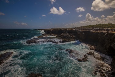 0S8A0928 Cliffs North Point Barbados Caribbean