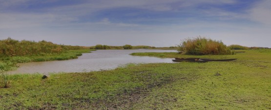 0S8A0128 Bangweulu Wetlands Zambia