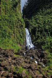 0S8A0641 Trafalgar Falls Morne Trois Pitons Dominica Caribbean