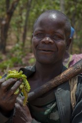 0S8A0191 Caterpillar harvest Tribe Bisa Bangweulu Wetlands Zambia