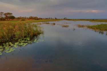 0S8A9844 Sunset Wetland Mweru Wantipa NP North Zambia