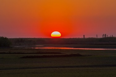 8R2A4262 Sunrise Bangweulu Wetlands Zambia
