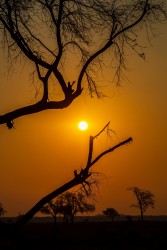 0S8A8974 Sunset Gonarezhou NP South Zimbabwe