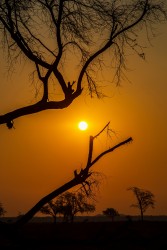 0S8A8974 Sunset Gonarezhou NP South Zimbabwe6