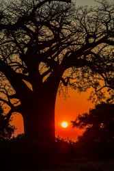 0S8A8982 Sunset Gonarezhou NP South Zimbabwe10
