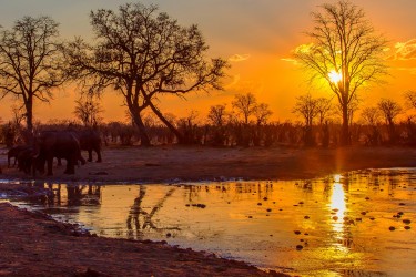 0S8A9144 Sunset Hwange NP Northwest Zimbabwe