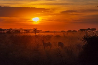 0S8A8355 Serengeti North Tanzania