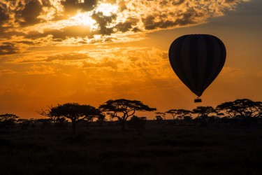 0S8A8433 Sunris Serengeti North Tanzania