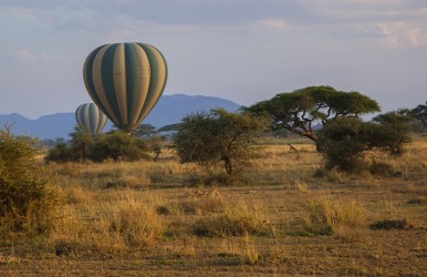0S8A8437  Serengeti North Tanzania