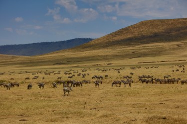 0S8A8621 Ngorongoro Crater North Tanzania