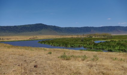 0S8A8666 Ngorongoro Crater North Tanzania