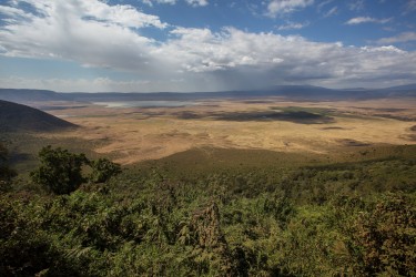 0S8A8671 Ngorongoro Crater North Tanzania