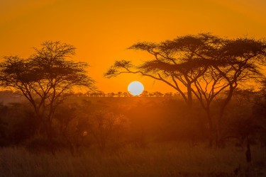 8R2A1221 Sunrise Serengeti North Tanzania