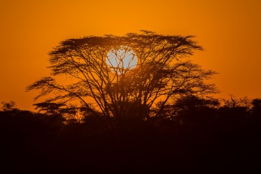 8R2A1224 Sunrise Serengeti North Tanzania