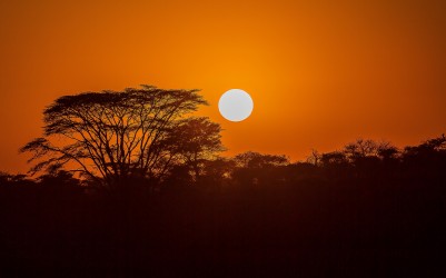 8R2A1226 Sunrise Serengeti North Tanzania
