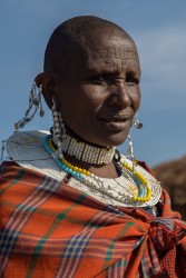 AI6I7601 Tribe Masai Ngorongoro Region North Tanzania