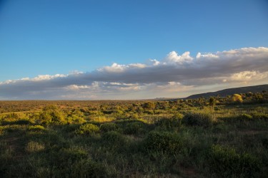 0S8A7969 Laikipia Plateau Central Kenya
