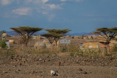 AI6I0958 Tribe Turkana Lake Turkana North Kenya