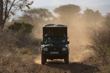 8R2A0149 Safari Car Meru NP Central Kenya
