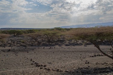 AI6I1106 Cemetary Tribe Turkana Lake Turkana North Kenya