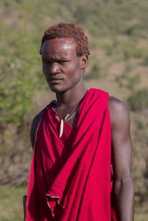 AI6I5515 Tribe Masai Masai Mara South Kenya