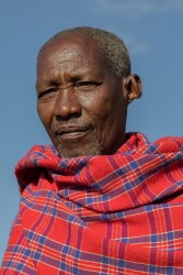 AI6I5552 Tribe Masai Masai Mara South Kenya