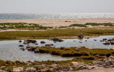 8R2A2204 Al Mughsail Beach South Oman