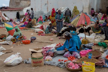 8R2A3810 Harar Market 3